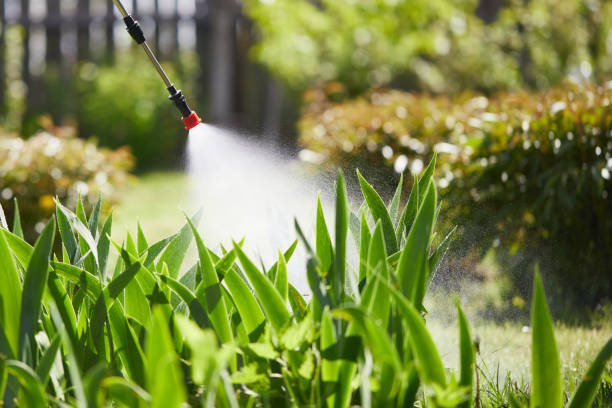 Tamper-Resistant Bait Stations for Rodents in Stillwater