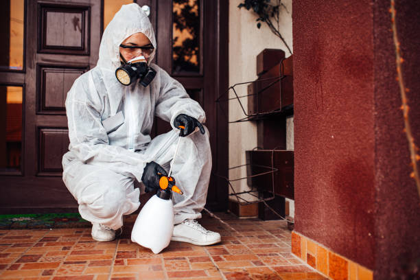 Attic and Crawl Space Rodent Treatment in Stillwater