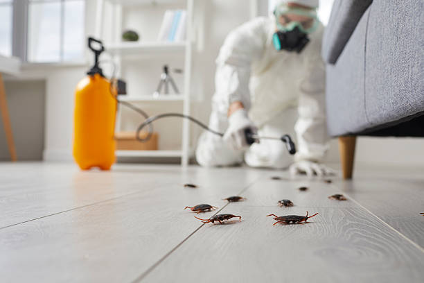 Commercial Rodent Management in Stillwater